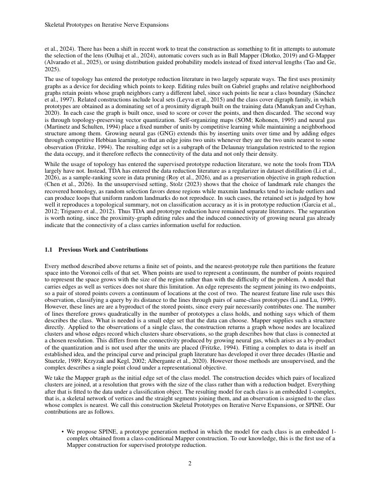 Page 2 of Skeletal Prototypes on Iterative Nerve Expansions