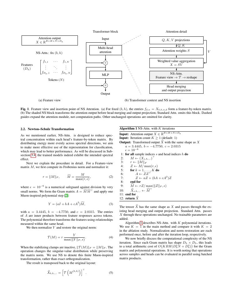 Page 2 of NS-ATTENTION: Newton-Schulz Transformations of Attention Outputs in Vision Transformers