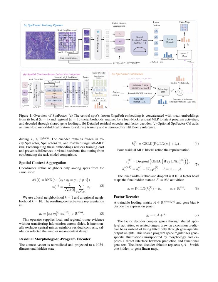 Page 3 of SpaFactor: Lightweight Spatial Context-Aware Gene Program Modeling for Histology-to-Transcriptomics Inference