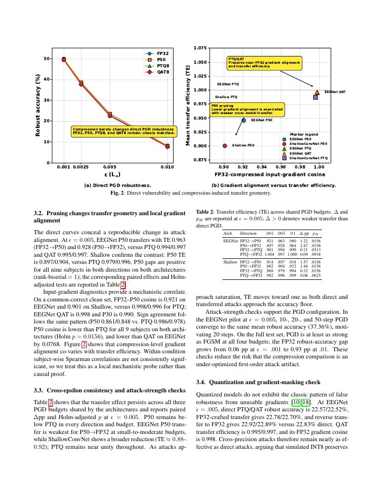 Page 3 of AERIAL: Adversarial Evaluation of Robustness in Accuracy-Preserving Low-Precision EEG Decoders