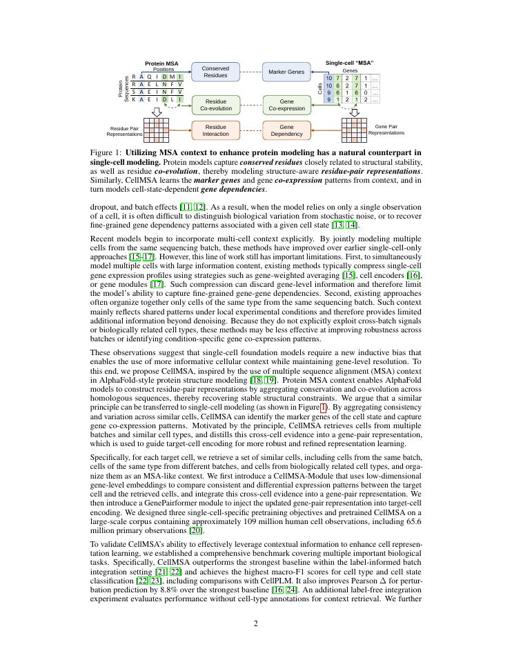 Page 2 of CellMSA: Context Modeling for Single-Cell Representation Learning