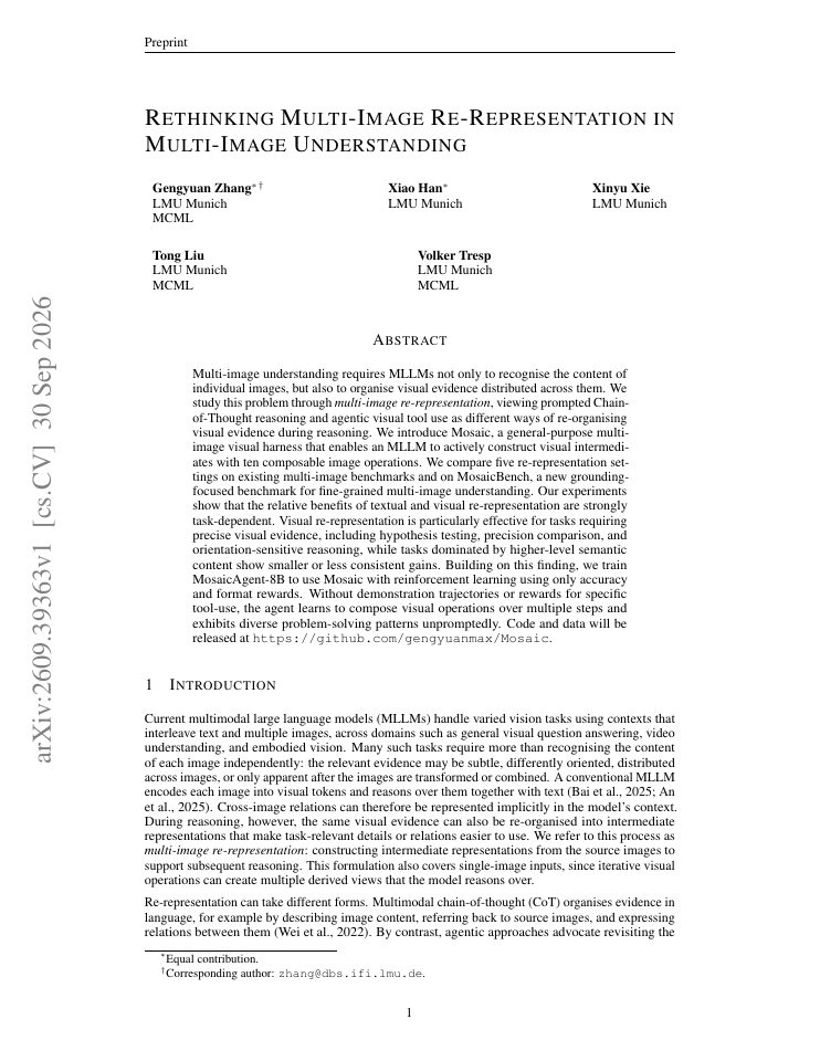 First page of Rethinking Multi-Image Re-Representation in Multi-Image Understanding