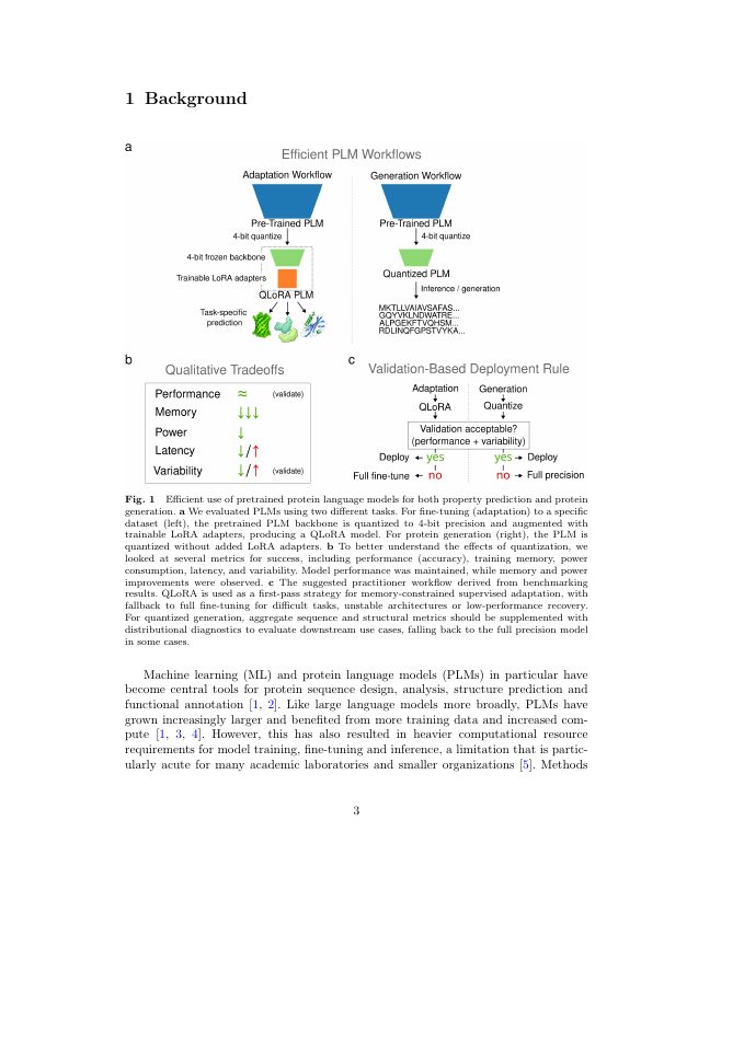 Page 3 of Analysis of Quantized and Efficiently Adapted Protein Language Models