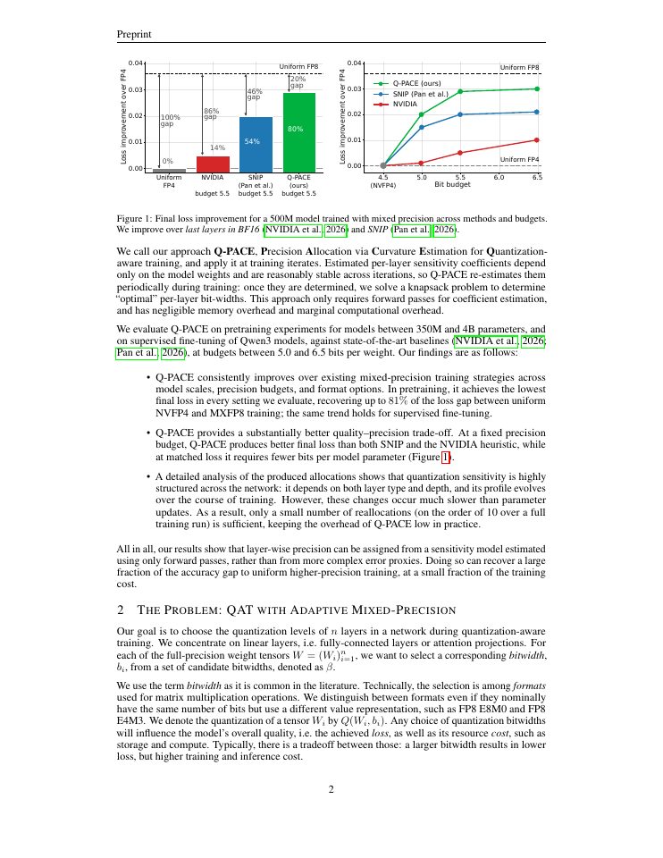 Page 2 of Q-PACE: Dynamic Precision Allocation for Quantization-Aware Training