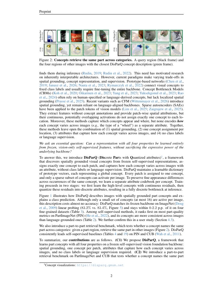 Page 2 of DisParQ: Self-Supervised Part Concepts for Interpretable Vision Foundation Models