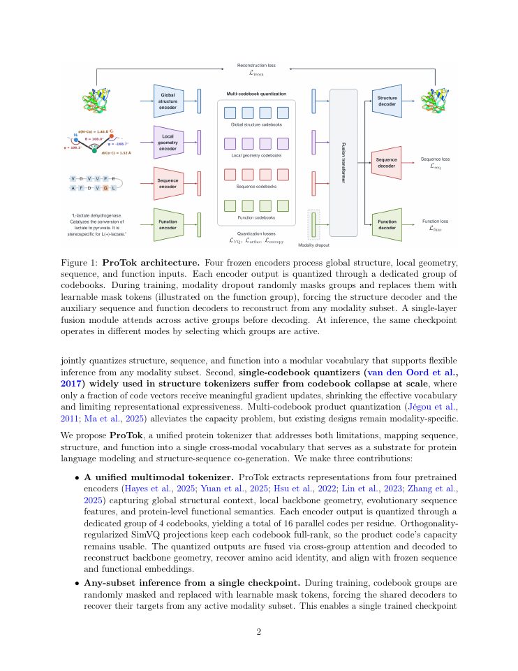 Page 2 of ProTok: Unified Protein Tokenization via Modular Multi-Codebook Quantization