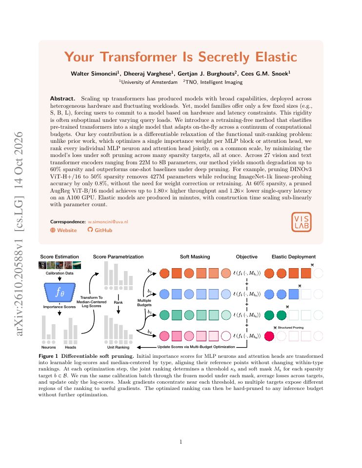 First page of Your Transformer Is Secretly Elastic