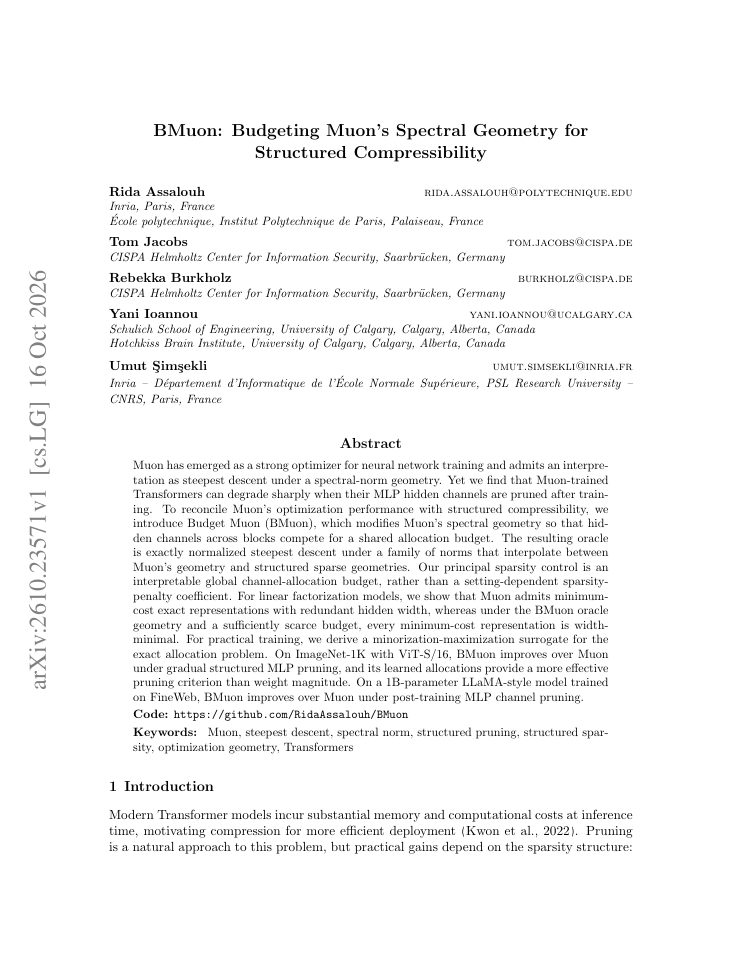 First page of BMuon: Budgeting Muon's Spectral Geometry for Structured Compressibility