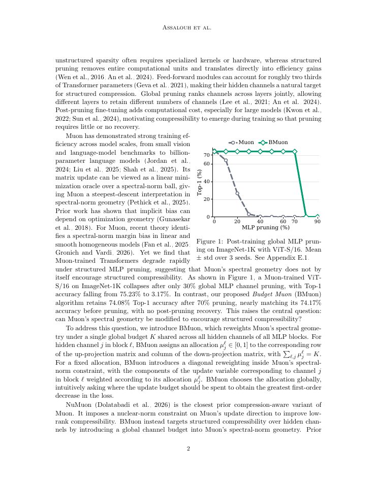 Page 2 of BMuon: Budgeting Muon's Spectral Geometry for Structured Compressibility