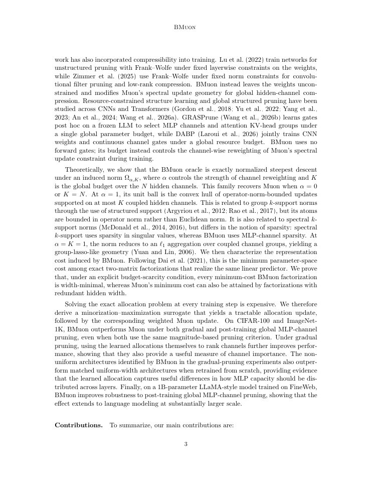 Page 3 of BMuon: Budgeting Muon's Spectral Geometry for Structured Compressibility