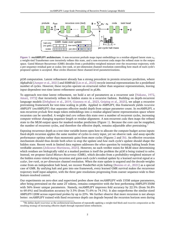 Page 2 of recAMPLIFY: Large-Scale Pretraining of Recursive Protein Language Models