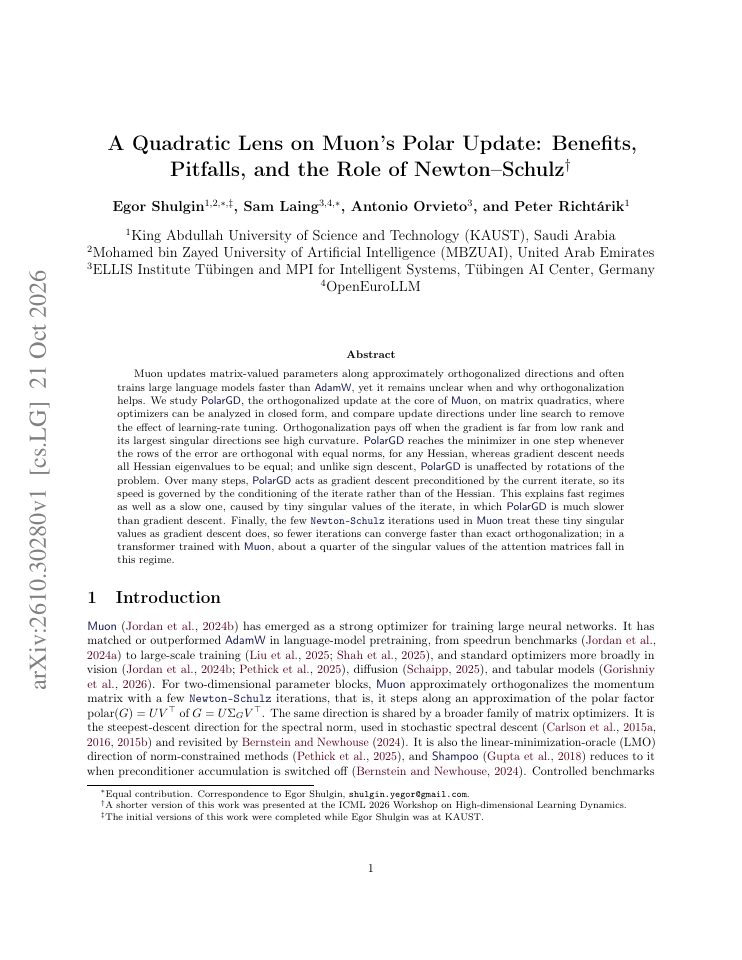 First page of A Quadratic Lens on Muon's Polar Update: Benefits, Pitfalls, and the Role of Newton-Schulz